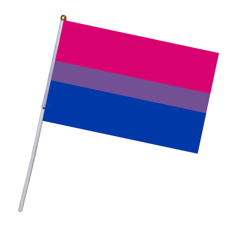 Bi Pride Hand Flag (10-pack)