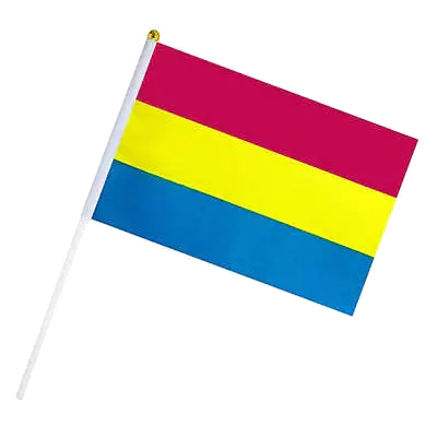 Pan Pride Hand Flag (10-pack)