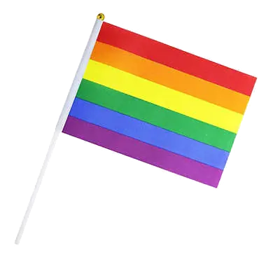 Gay Pride Rainbow Hand Flag (10-pack)