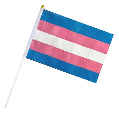 Trans Pride Hand Flag (10-pack)