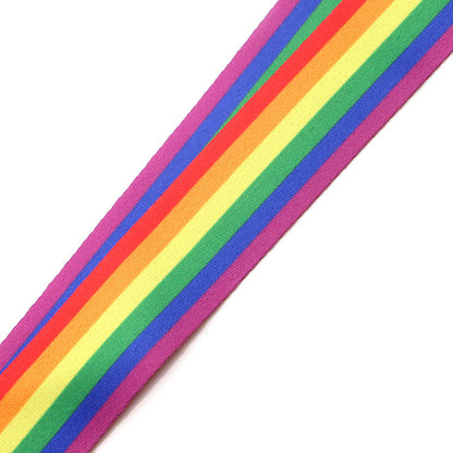 The Rainbow Lanyard